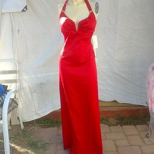 Sexy Evening Gown BrandNew, no Rips ,